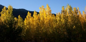 Colores otoñales en el Río Borosa
