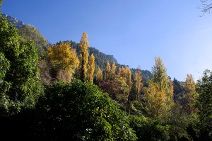 Ribera del Río Cerezuelo