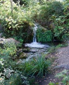 Pequeño salto de agua