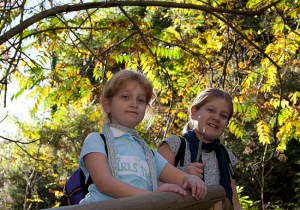 Una parada en el camino