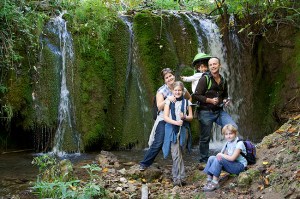 Mis compañeros de paseo