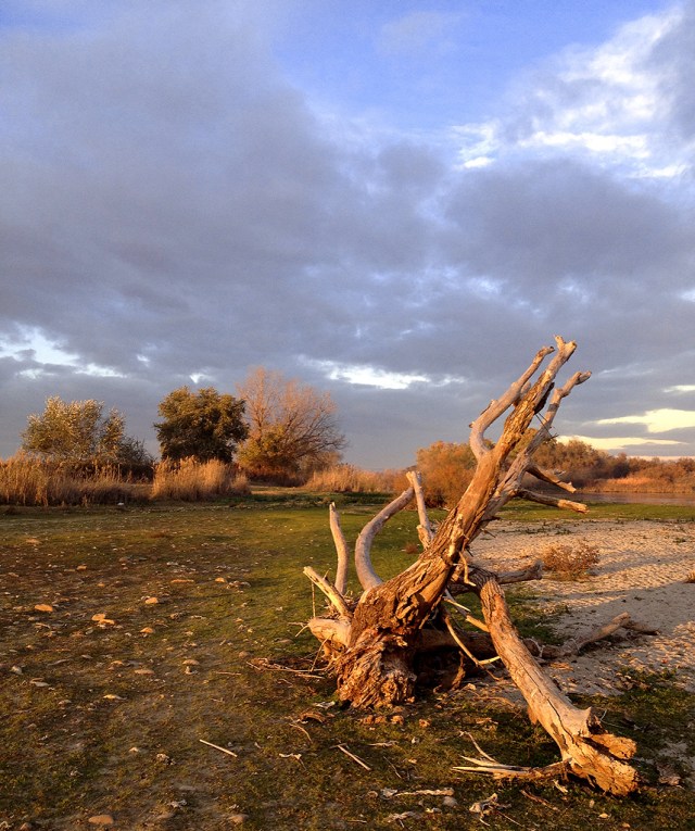 Decoración de naturaleza muerta