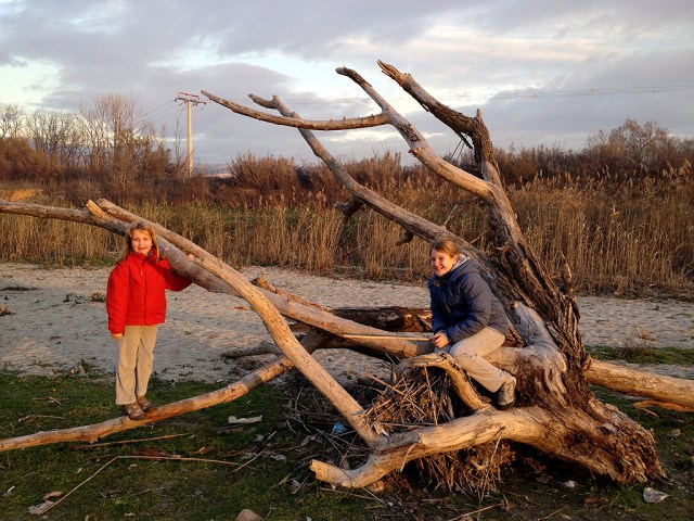 Un poco de vida en la naturaleza muerta