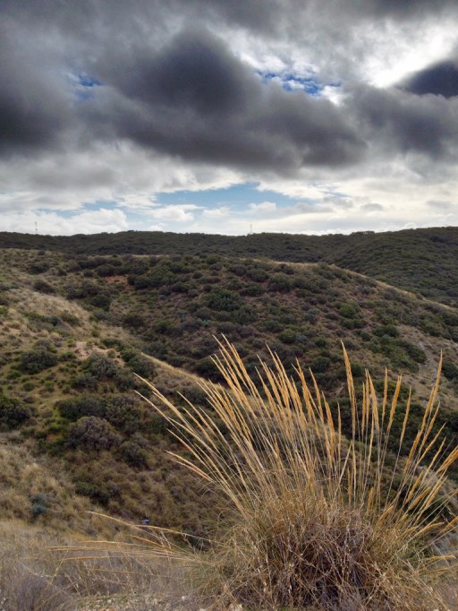 Campos del paraje El Butarrón