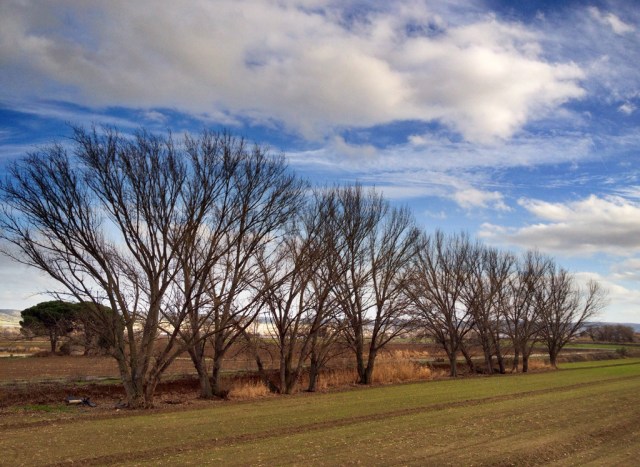 camino_presa_del_rey2