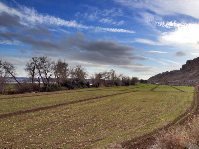 camino_presa_del_rey4