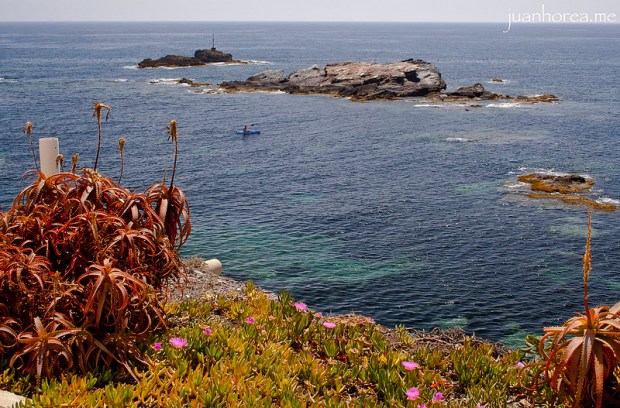 Acantilados y vegetación