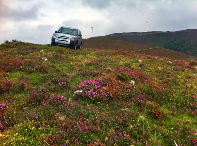 Cualquier parada en el camino es un espectáculo
