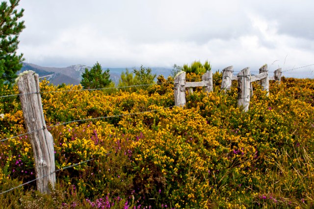Vallado natural (Alrededores del Pico de Murias).