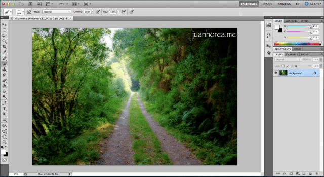 Photoshop-firma-pincel-5