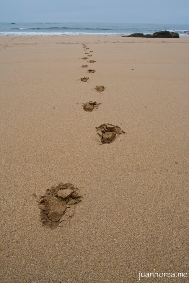 tapia de casariego-98_fl