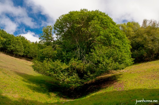 villanueva de oscos-213_fl